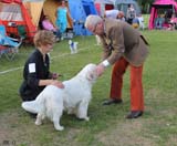 SWEClubShow2012_5_intermediate_male_Zorro_k