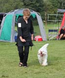 SWEClubShow2012_5_intermediate_male_Zorro_n