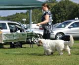 SWEClubShow2012_5_open_male_Bawo_b