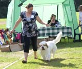 SWEClubShow2012_5_open_male_Bawo_jj