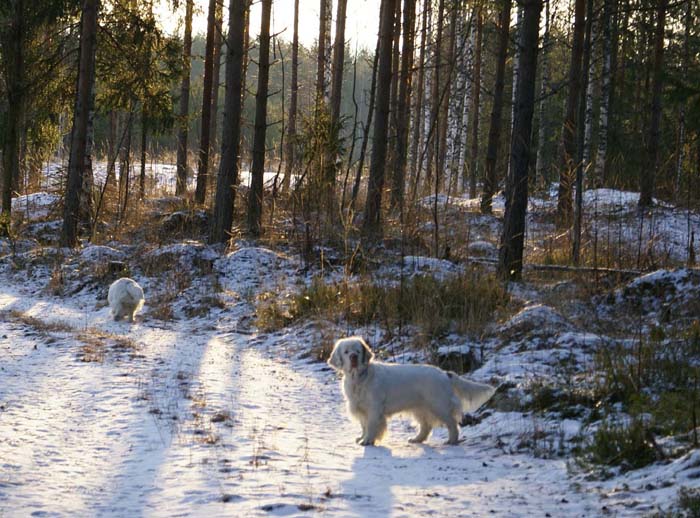 Bumbaa_Windy_24Dec2008_b