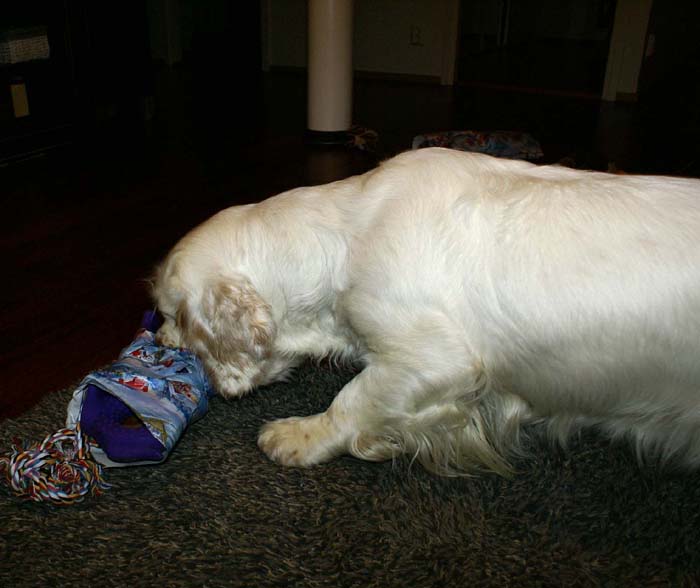 Bumbaa_with_presents_24Dec2008