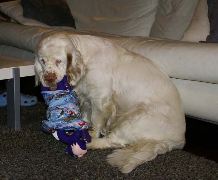 Bumbaa_with_presents_24Dec2008_c