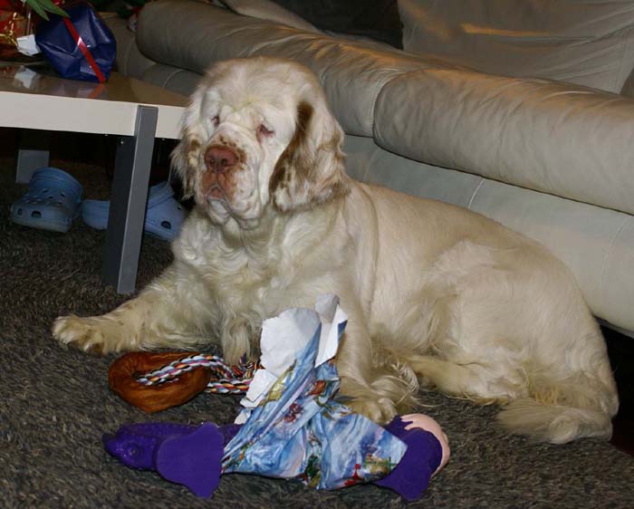 Bumbaa_with_presents_24Dec2008_d