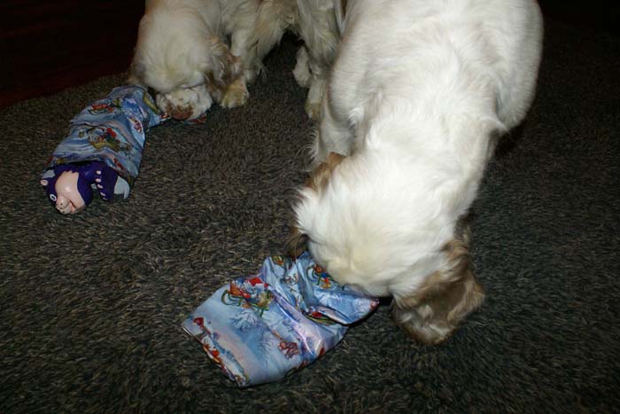 WindyBumbaa_with_presents_24Dec2008