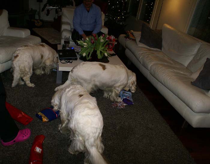 WindyCottonBumbaa_with_presents_24Dec2008_c