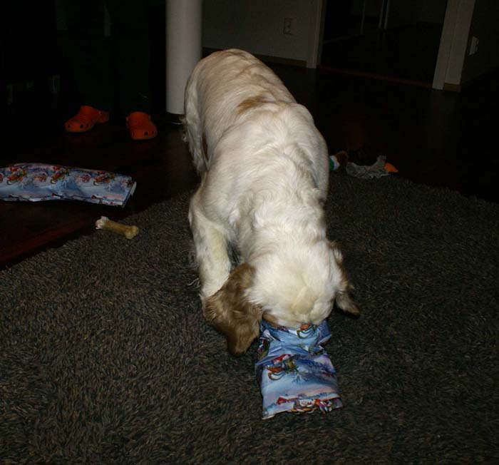 Windy_with_presents_24Dec2008