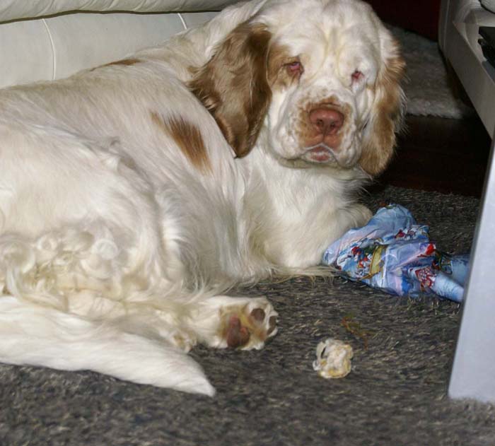 Windy_with_presents_24Dec2008_b