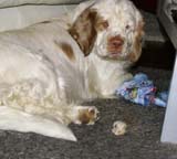 Windy_with_presents_24Dec2008_b