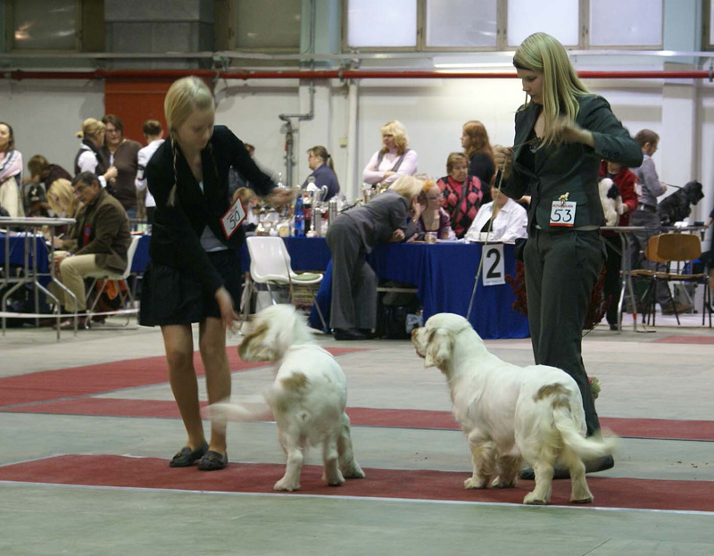 FINSpanielClubSpeciality2009_BestOfBreedPuppy_Keke_Hilla_c