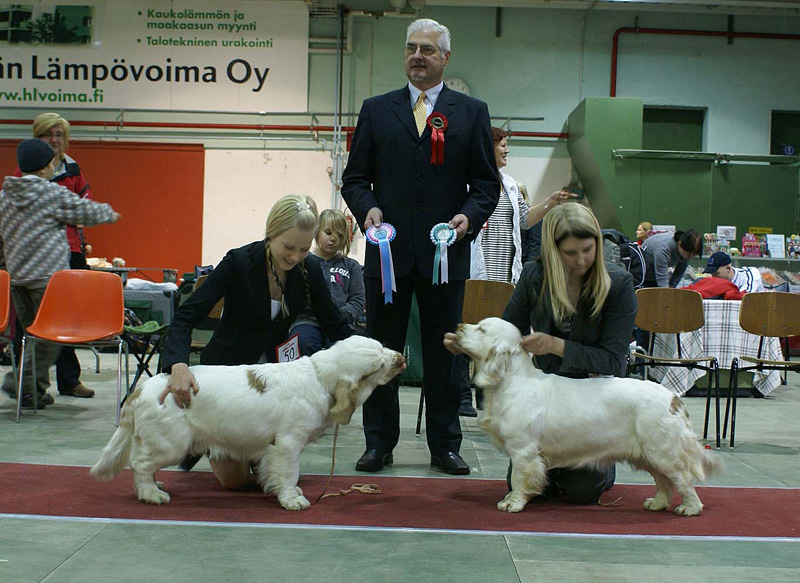 FINSpanielClubSpeciality2009_BestOfBreedPuppy_Keke_Hilla_e
