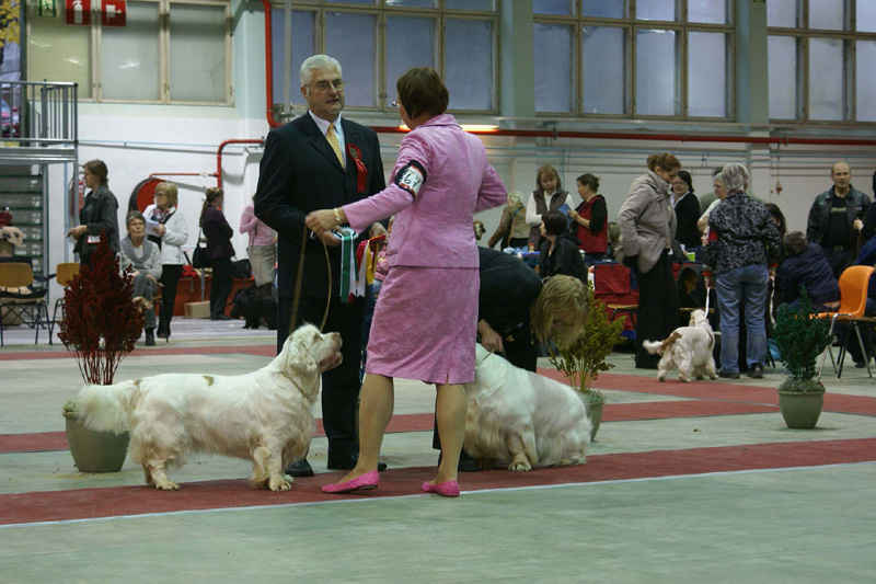FINSpanielClubSpeciality2009_BestOfBreed_Bumbaa_Vito