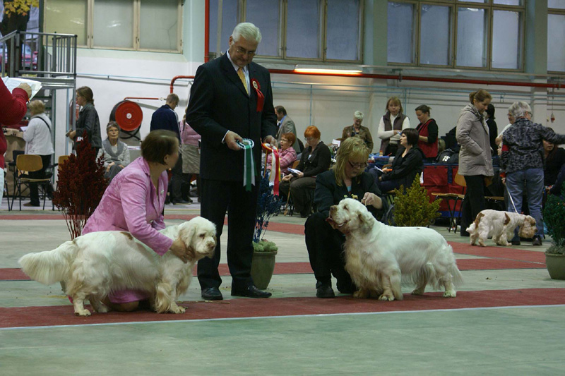 FINSpanielClubSpeciality2009_BestOfBreed_Bumbaa_Vito_b