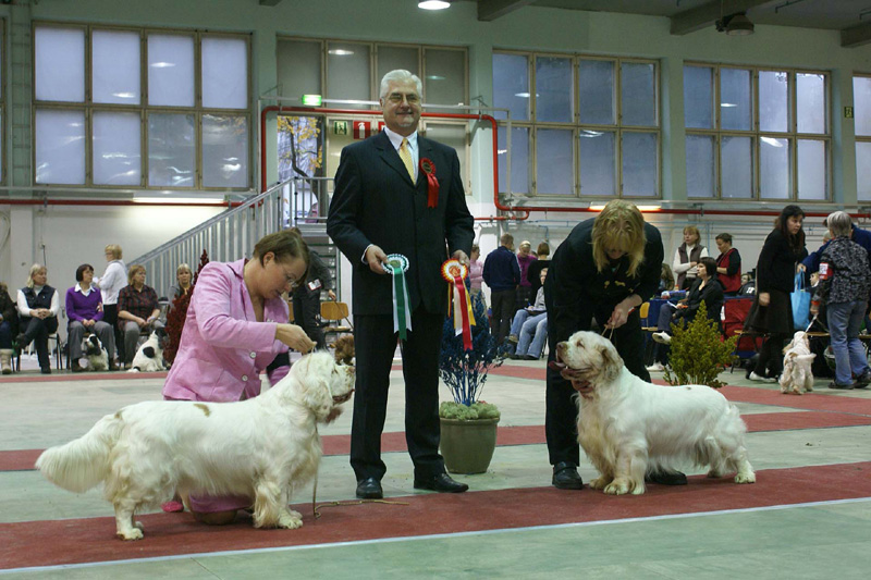 FINSpanielClubSpeciality2009_BestOfBreed_Bumbaa_Vito_c