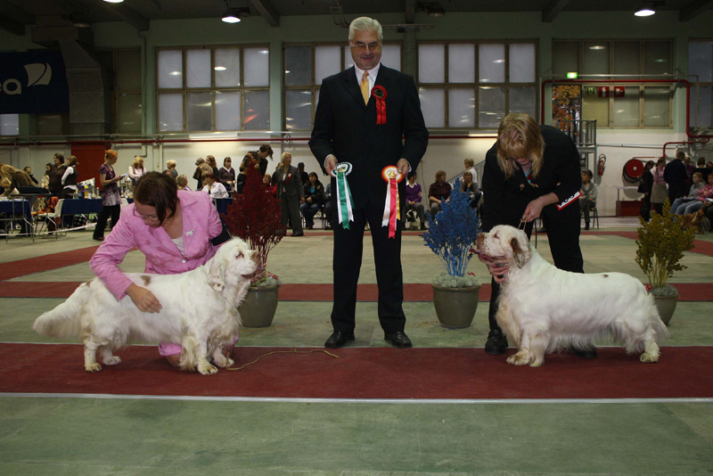 FINSpanielClubSpeciality2009_BestOfBreed_Bumbaa_Vito_d