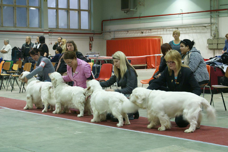 FINSpanielClubSpeciality2009_BreedersGroup_Rocky_Windy_Brenda_Reno