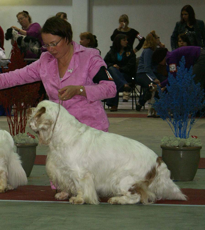 FINSpanielClubSpeciality2009_ChampionDog_Snow