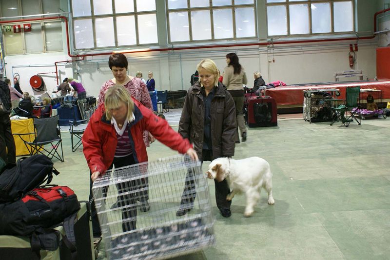 FINSpanielClubSpeciality2009_Crisse_Pirjo_Senni_Tetu