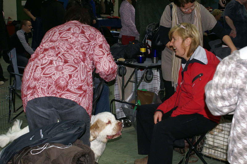 FINSpanielClubSpeciality2009_Eddie
