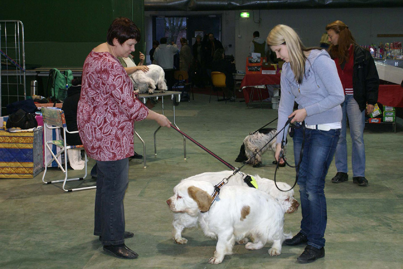 FINSpanielClubSpeciality2009_Eddie_Sony_Susanna_Tetu