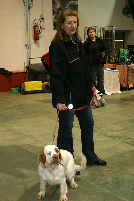 FINSpanielClubSpeciality2009_Ella_Marit