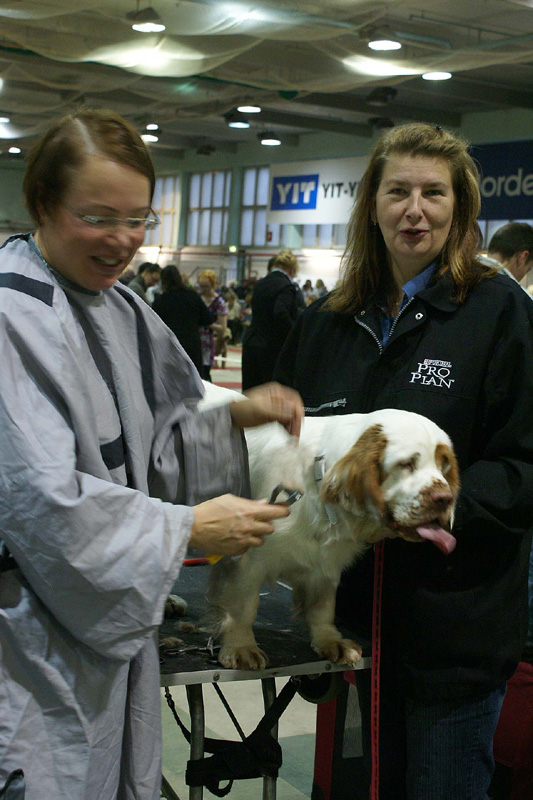 FINSpanielClubSpeciality2009_Ella_Marit_Ira