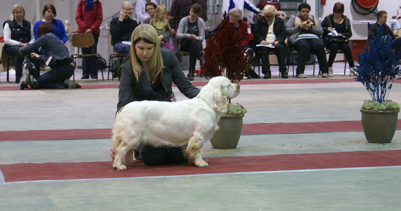 FINSpanielClubSpeciality2009_Hilla