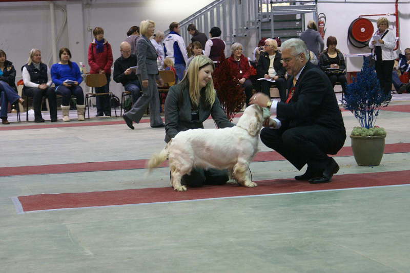 FINSpanielClubSpeciality2009_Hilla_b