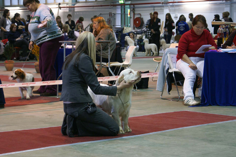 FINSpanielClubSpeciality2009_Hilla_c