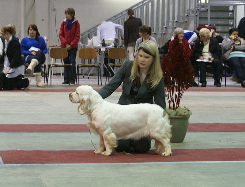 FINSpanielClubSpeciality2009_Hilla_d