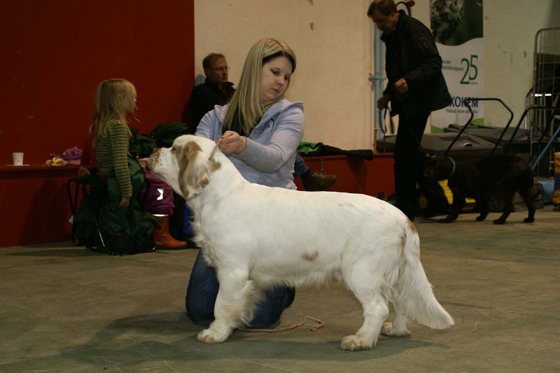 FINSpanielClubSpeciality2009_Keke_Susanna