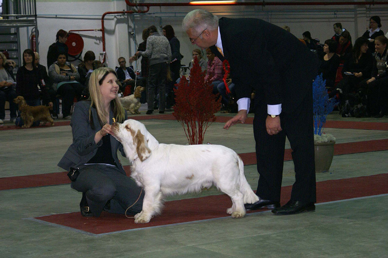 FINSpanielClubSpeciality2009_MalePuppies_Keke_e
