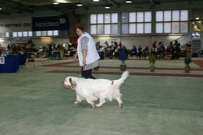 FINSpanielClubSpeciality2009_OpenDog_Sony