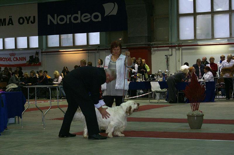 FINSpanielClubSpeciality2009_OpenDog_Sony_b