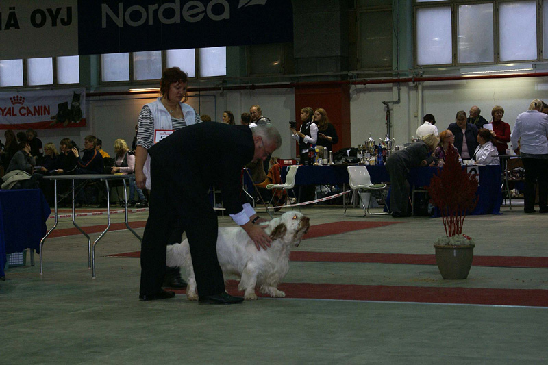FINSpanielClubSpeciality2009_OpenDog_Sony_c