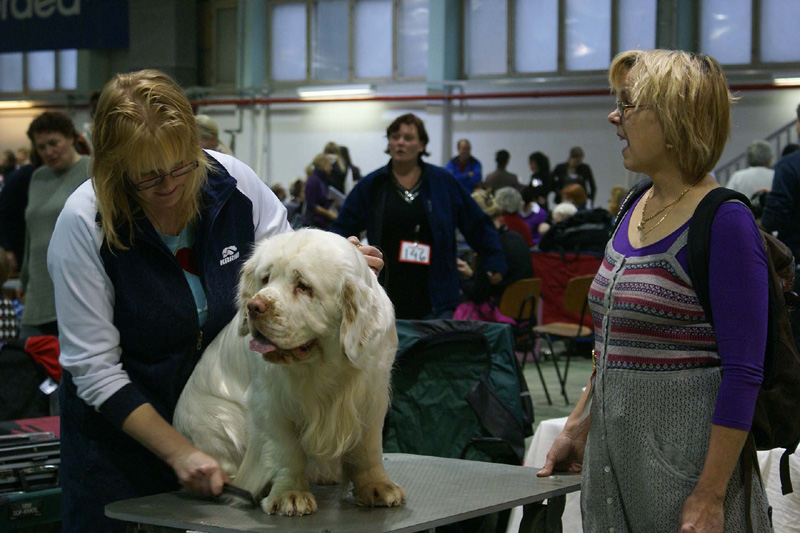 FINSpanielClubSpeciality2009_Reno_Mari_Tarja