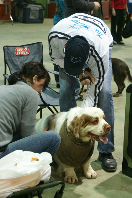 FINSpanielClubSpeciality2009_Rocky_Taina_Esa