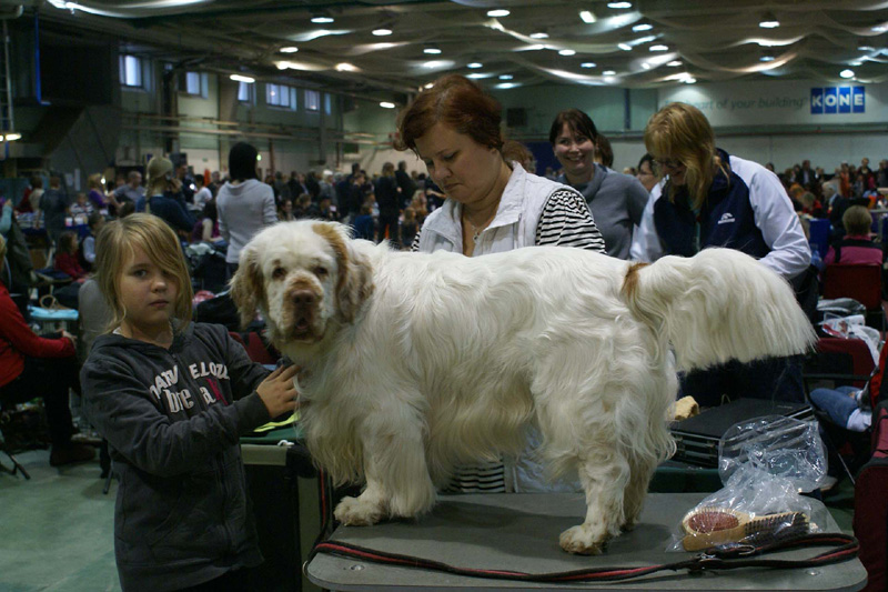 FINSpanielClubSpeciality2009_Sony_Päivi_Eeva