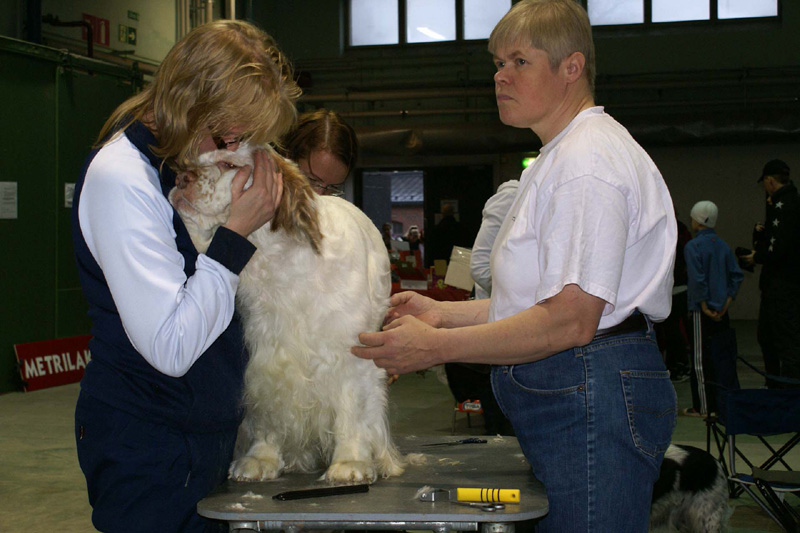 FINSpanielClubSpeciality2009_Speedy_b