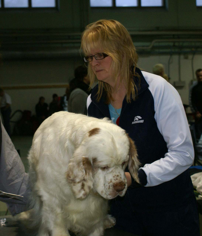 FINSpanielClubSpeciality2009_Speedy_d