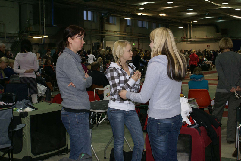 FINSpanielClubSpeciality2009_Taina_Pauliina_Susanna