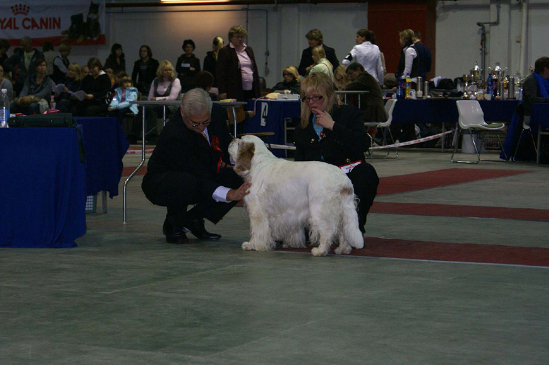 FINSpanielClubSpeciality2009_VeteranDog_Speedy_c
