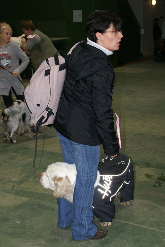 FINSpanielClubSpeciality2009_Windy_Katri