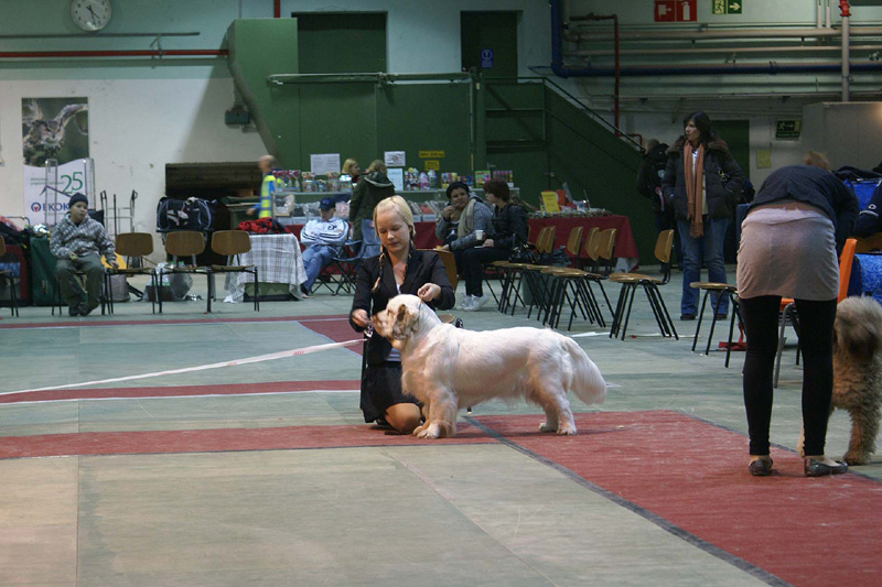 Pauliina_Brenda_JuniorHandler_b