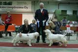 FINSpanielClubSpeciality2009_BestOfBreedPuppy_Keke_Hilla_d