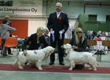 FINSpanielClubSpeciality2009_BestOfBreedPuppy_Keke_Hilla_e