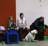 FINSpanielClubSpeciality2009_Sony_Paivi_Eeva
