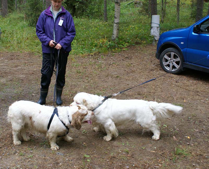 ST_Holy_Moly_ST_Viking_Finn_Marjo