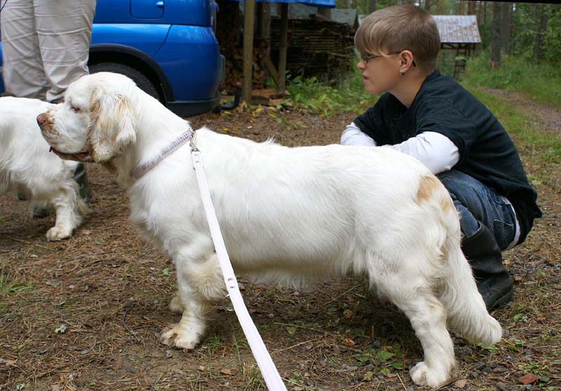 ST_Queen_Guinevere_Eetu_b