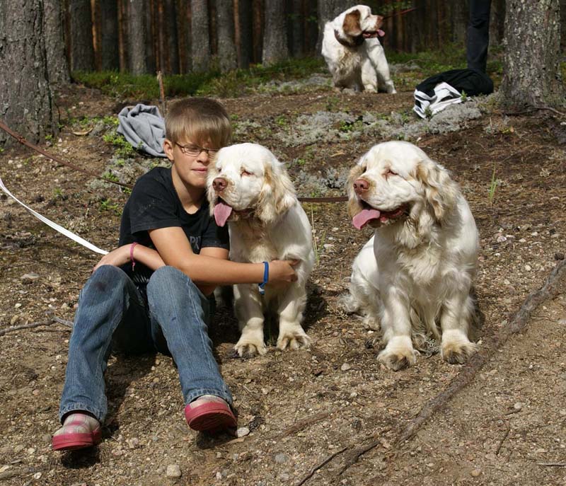 ST_Queen_Guinevere_ST_Viking_Vigdis_Eetu_b